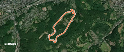 [A1] Wilder Stadtwald