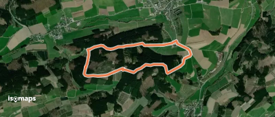 Salwey Hasenknick A2