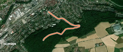 Rundwanderweg Mosbach 2: Hornberg-Weg