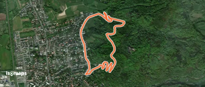 Rundwanderweg Bensheim Am Höllberg 2: Goldkauf-Weg