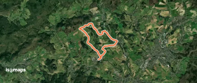 Rundwanderweg Rimbach Trommblick 2: Reh-Weg