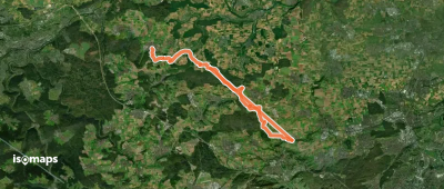 blaue Raute Wiernsheim - Höfingen