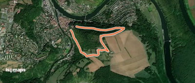 Wanderweg Wertheim 1