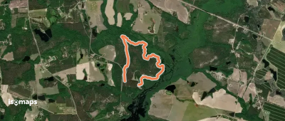 Primative Campsite Trail