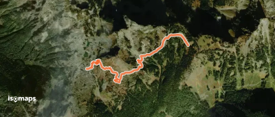 Yellow Aster Butte Trail