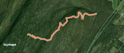 Dark Hollow Trail
