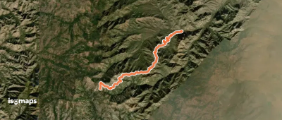 Snowshed Trail #246