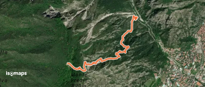 OSM Route 4850001