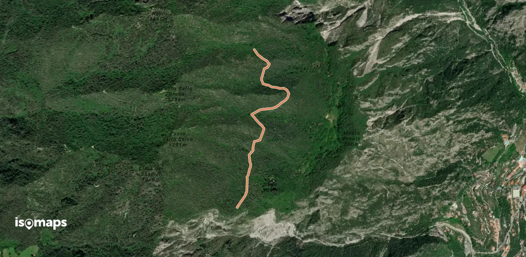 OSM Route 4850983