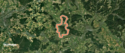 Mitwitzer Runde