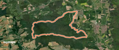 Rundwanderweg Wildschwein Gerach
