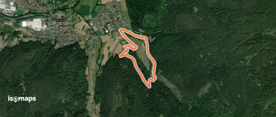 Rundwanderweg Breuberg Pitschgrund 1: Pitschgrund-Weg