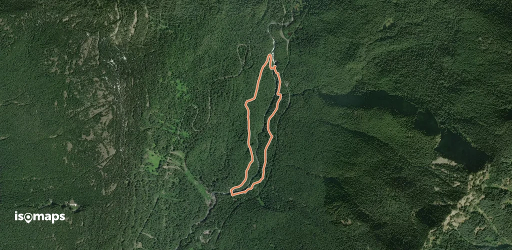 Silver Falls Loop
