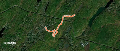 Black Dot on Pink Trail
