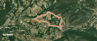Circuit des Vignes