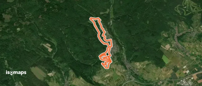 Rheinsteig Rundtour: Rauenthaler Spange