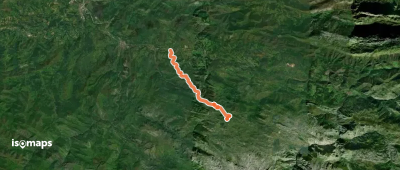 Ruta Frasinelli