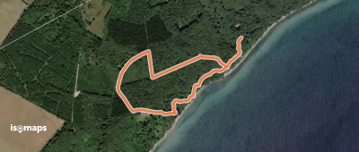 Staksrode Skov - Gule rute