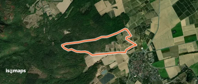 Rundwanderweg Frei-Laubersheim 20