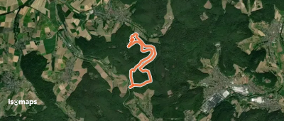 Rundwanderweg Bad König Rondell 4: Königskopf-Weg