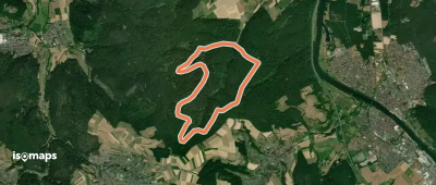 Rundwanderweg Waldhaus Obernburg 5: Waldhaus-Weg