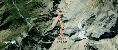 Sentiero dei Fiori - da Passo del Castellaccio a Passo di Lago Scuro