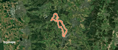 Rundwanderweg Mörlenbach 4: Obstwiesenweg