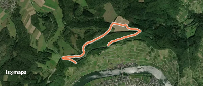 Piesporter Berg