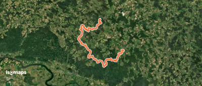 Goldsteig S12: Falkenstein - Wiesenfelden