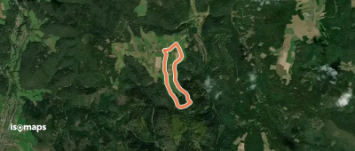 Rundwanderweg Bullau 5