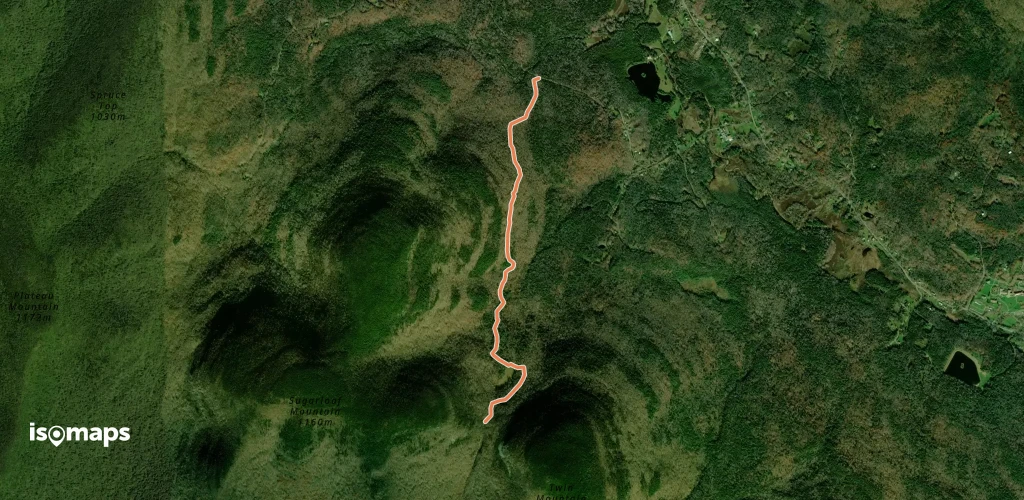 Pecoy Notch Trail