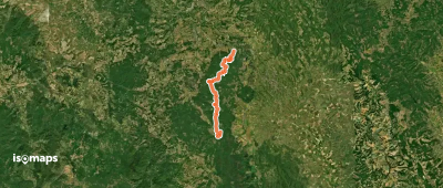 OSM Route 305479
