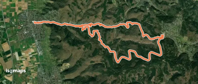 Rundwanderweg Schriesheim 2: Schriesheimer-Hof-Weg