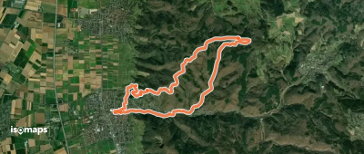 Rundwanderweg Schriesheim 3: Schriesheimer-Hütten-Weg