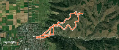 Rundwanderweg Schriesheim 5: Branichweg
