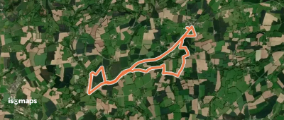 Sentier du loup dans les fougères