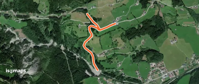 Wanderweg 67 - Wald/Königsleiten
