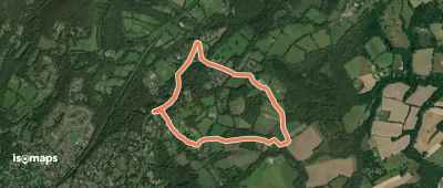 Grayswood walk (SCC)