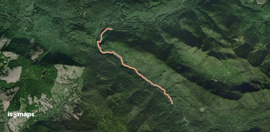 Boulder River Trail