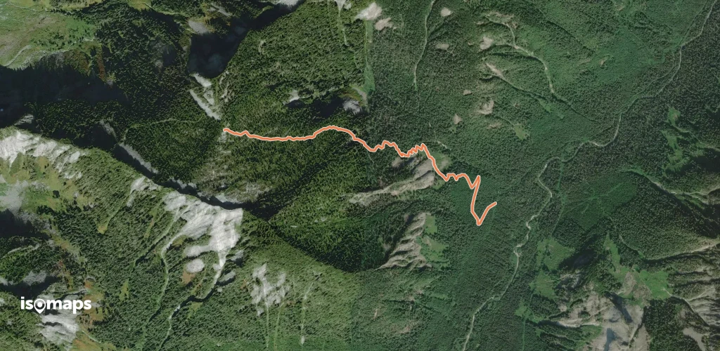 Eight-Mile Trail