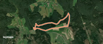 Rundwanderweg Beerfelden Olfener Höhe 3: Oberer Schweinsgrubenweg