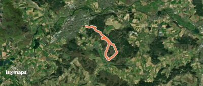 Nordic Walking LIF rosa