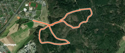 Nordic Walking LIF gelb