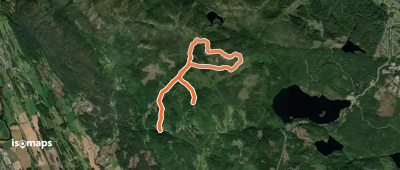 OSM Route 5555223