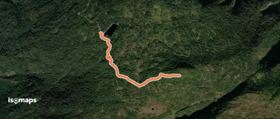Kvitenjuk