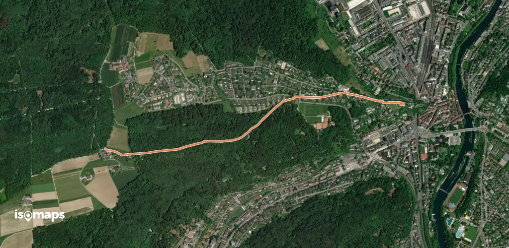 Ruine Stein-Baldegg