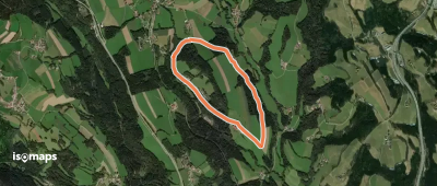 Tauchen-Schaueregg - Sommer Rundwanderweg