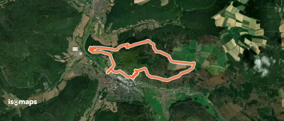 Rundwanderweg Amorbach 9: Waldromantikweg