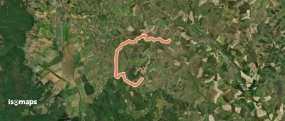 OSM Route 311466
