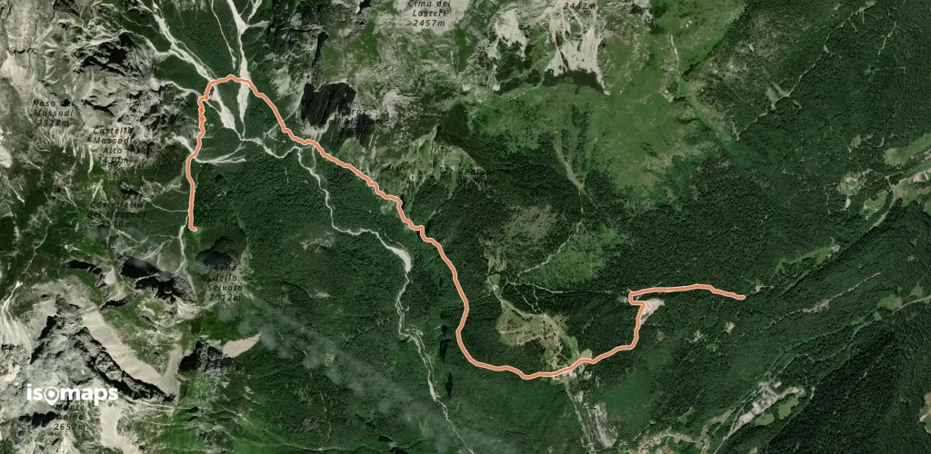 OSM Route 313438